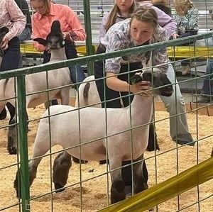 Meet your Posher, Rylee